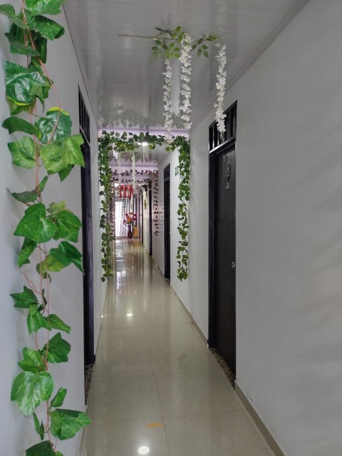 Hotel Plaza Centro 弗洛伦西亚 外观 照片